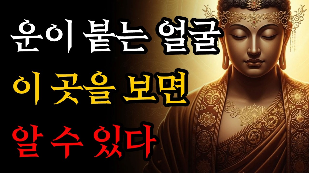 운이 붙는 얼굴은 이 곳을 보면 알수 있다. 천운의 비밀 5가지! | 부처님 말씀