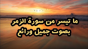 ما تيسر من سورة الزمر بصوت جميل جدا وهادئ