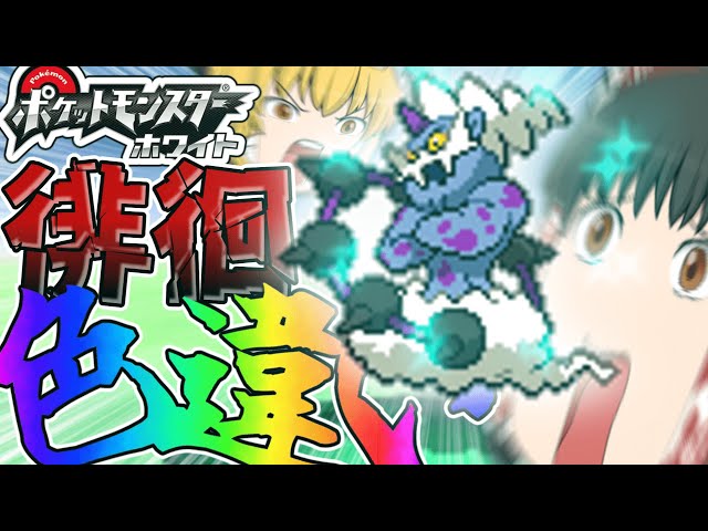ポケモンBW】徘徊色違い！？鬼畜ボルトロス厳選をDS4台でやって