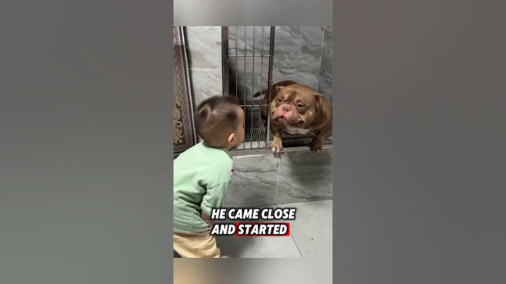 This little boy adopted a dog, and then this happened... #dog #animals