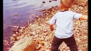 Kid Throws Rock At..?