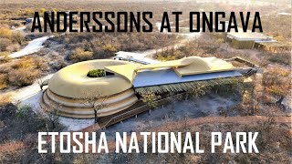 ANDERSSONS CAMP AT ONGAVA RESERVE ETOSHA PARK NAMIBIA | АНДЕРССОНС КЕМП ОНГАВА ПАРК ЭТОША НАМИБИЯ