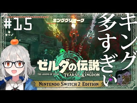 ˗ˋˏ  ゼルダの伝説 ティアーズ オブ ザ キングダム Nintendo Switch 2 Edition 初見プレイ #15  ˎˊ˗