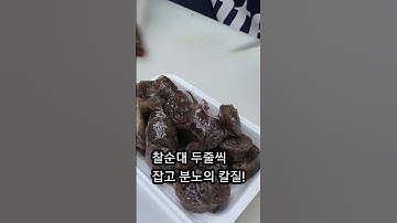 일주일에 한번 배터지게 먹을수 있는 순대 푸드트럭! #shorts