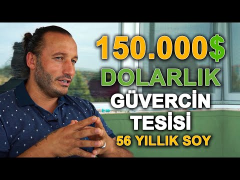 Hayalet Güvercinler 56 Yıllık Soy - Expensive Pigeon Farm Serdar Yurttaş Güvercin Kümesi AlaTürkiye