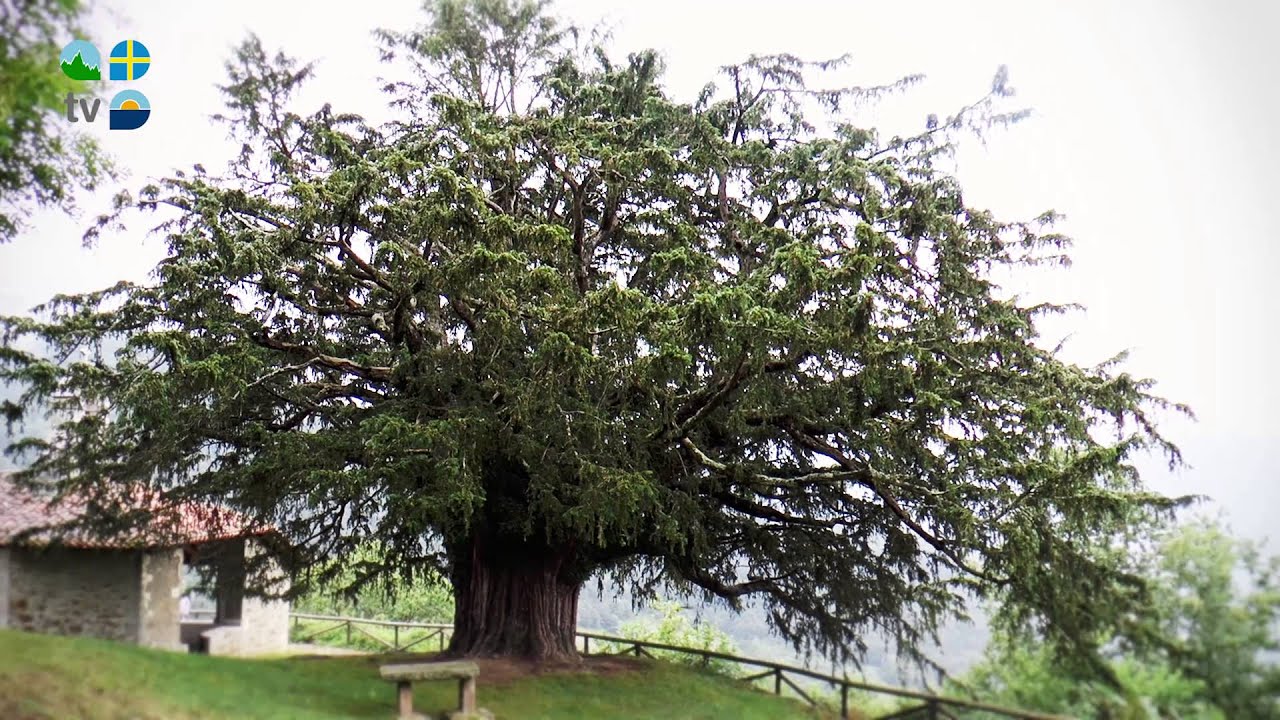 Quiros - Turismo Asturias Televisión