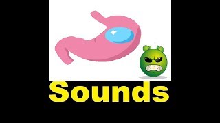 Video thumbnail of "Stomach Growling Sound Effects All Sounds"
