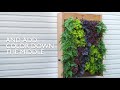 How to create a vertical wall garden