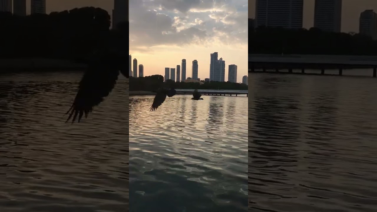 Cornish Sharjah UAE 🇦🇪 