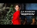 Д.И. Фонвизин &quot;Недоросль&quot; (ОГЭ/ЕГЭ по литературе)