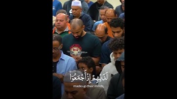 سورة يوسف للشيخ احمد الحداد من التراويح