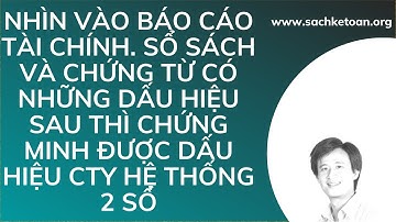 Nhìn Vào Báo Cáo Tài Chính - Sổ Sách Kế Toán - Chứng Từ Kế Toán Sẽ Biết Được Dấu Hiệu Cty Làm 2 Số