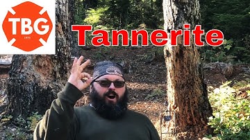First Time Using Tannerite