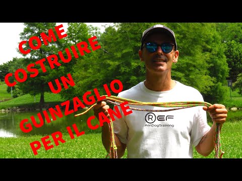 Video: Come Fare Un Guinzaglio Di Corda