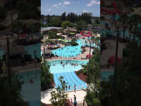 Fun Summertime at