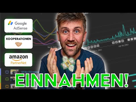 Meine YouTube EINNAHMEN
