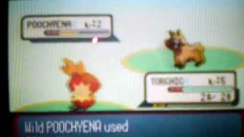 Uncatchable Shiny Poochyena While SRing Torchic-Ruby