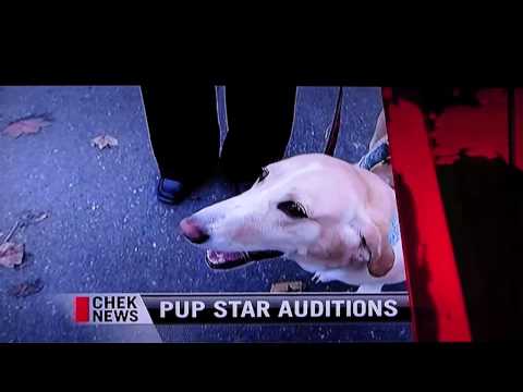 Kaylahn CHEK news
