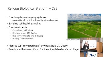 Cover crop mixtures and soil health