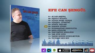 Efe Can Şengül  -  Hakkın Divanı