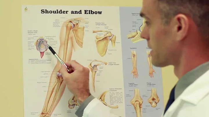 How to Identify and Treat Shoulder Impingement - D...
