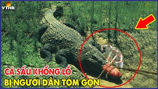 🔴 7 Lần Cá Sấu Khổng Lồ Và Hung Dữ Bị Con Người Tóm Gọn Khiến Ai Nấy Đều Kinh Hãi Khiếp Sợ