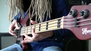 Funk Rock Bass Thumb/Finger Plucking Grooves chords