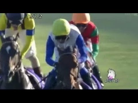 香港スプリント （GⅠ） ロードカナロア（龍王） 牡4 57 岩田