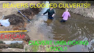 beaver clogged culverts!!! 4/2/23
