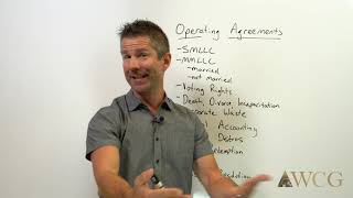 Business Operating Agreements | WCG Inc. | Jason Watson, CPA