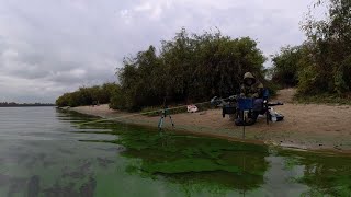 картинка: 🎣ЗА ПЛОТВОЮ НА ПІСОК🐬 FEEDER  РИБАЛКА 2025🇺🇦