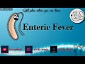 Enteric Fever/Transmission/Pathogenesis/Symptoms/Salmonella Typhi/Salmonella Paratyphi