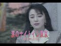 (カラオケ) 涙のナイトイン東京 / 日野美歌&葵司朗