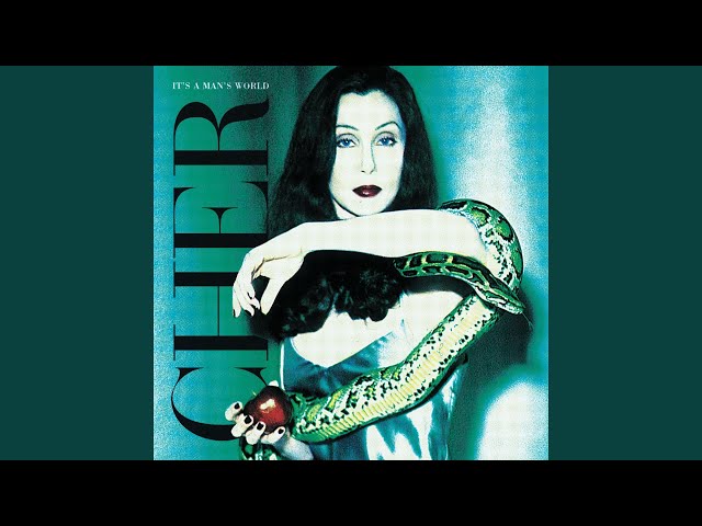 CHER - SUN AIN'T GONNA SHINE ANY MORE