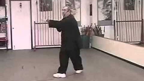 Pa Kua - Palm Changes - Swimming Body Palm - Right Side Walking