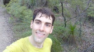 🌲 Mental Health Questions In The Forest 😃