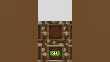 PSYCHIATRIC In Minecraft?!? #minecraft #minecraftfactsthatwillblowyourmind