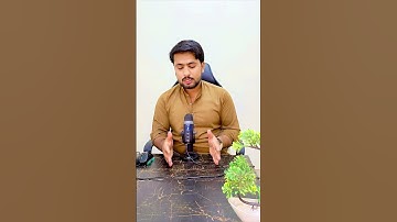 Will You Create Different eBay Accounts On 1 IP Address ?