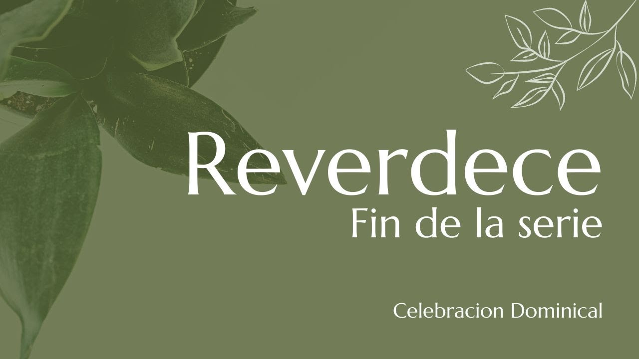 Reverdece // Fin de la serie // Celebracion Dominical 11-02-2024 - YouTube