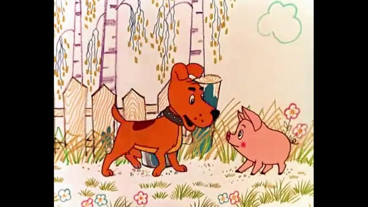 Чуня книга. Река чуня. Мультсказка чуня. Чуня союзмультфильм. Чуня.