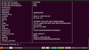 Microstack! With microstack.launch!