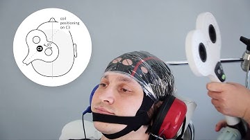 TMS + EEG