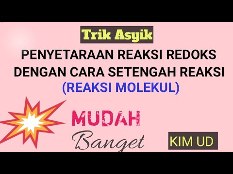 Penyetaraan reaksi redoks molekuler