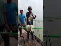 Heavy Duty Trap! 😱 Whole Chicken vs Unknown River Monster! 🍗⛓️🎣 #danialfishing #fishing #bigcatfever