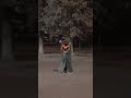 ياحبيبي لا تخليني وتروح