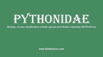 pythonidae: Pronounce pythonidae with Phonetic, Synonyms and Examples