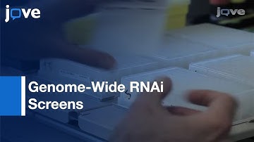 Quantitative & Automated High-Throughput Genome-Wide RNAi Screens In C. elegans l Protocol Preview