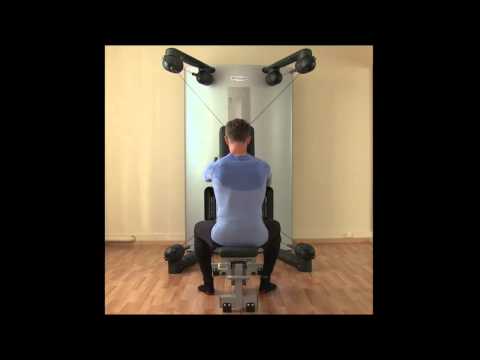 Reverse Flys sitzend Kinesis