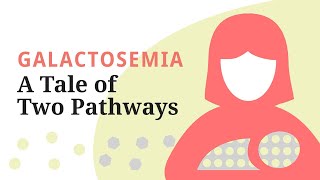 Galactosemia A Tale Of Two Pathwaysa Brief Overview Of The Galactose Metabolic Pathway