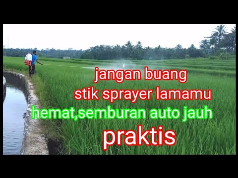 Video: 4 Cara Membuat Semburan Jeruk